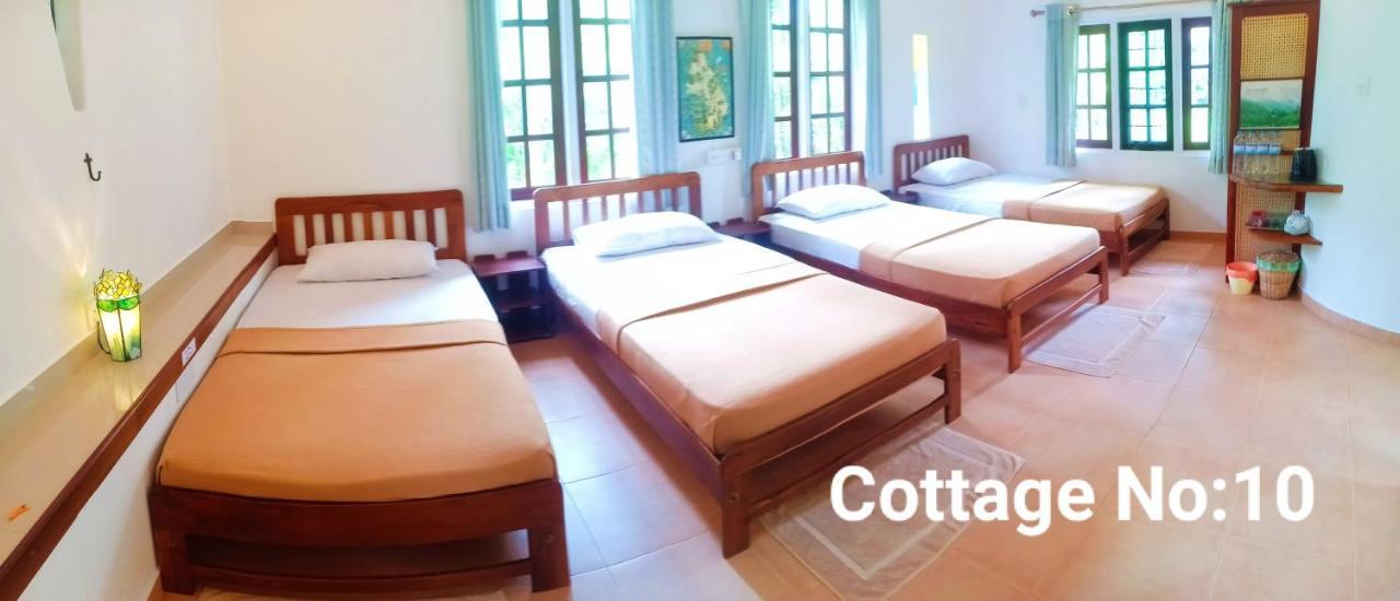 Mango House Japanese Guest House Negombo Exterior foto