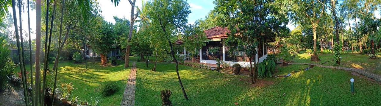 Mango House Japanese Guest House Negombo Exterior foto